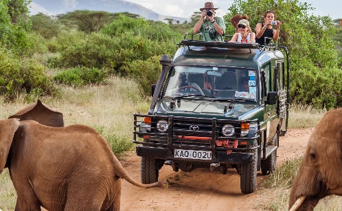 Luanda: Safari in Quiçama National Park - Wildlife and Elephants