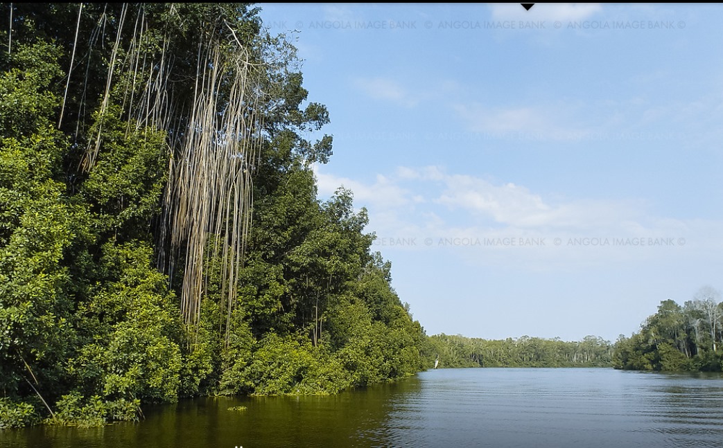 Luanda: Kwanza River Boat Trip